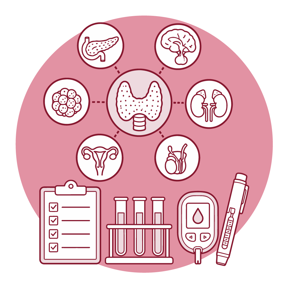 Ilustración de endocrinología