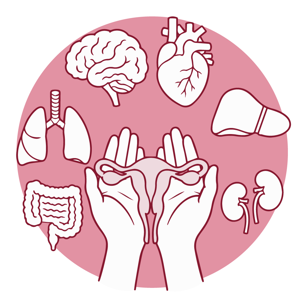 Ilustración de salud hormonal